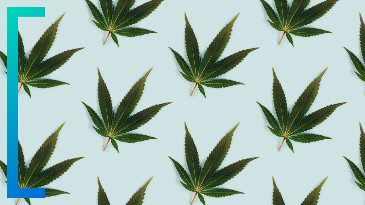 Cannabis 101: A Pocket Guide