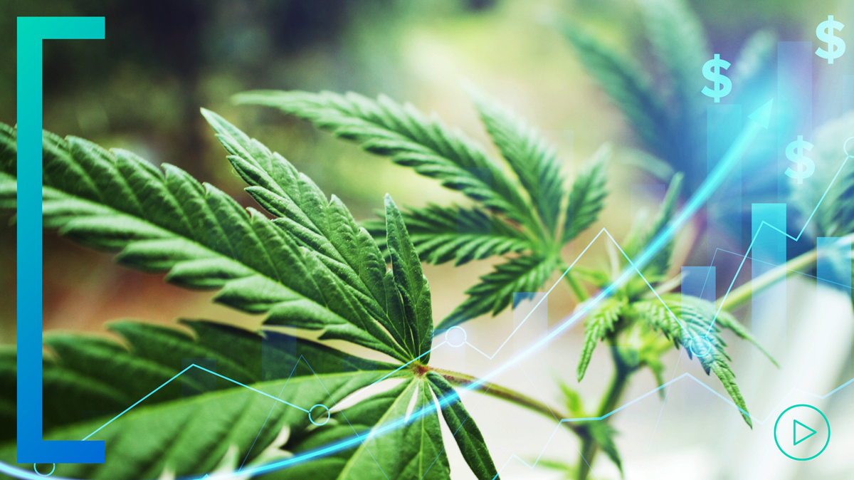 Cannabis & Generational Targeting